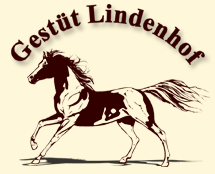 Gestt Lindenhof - Zucht von Lewitzern und Araber-Pintos